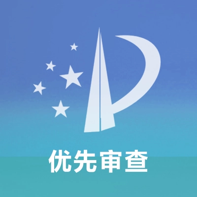专利优先审查