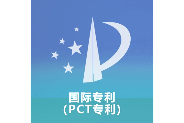 国际专利（PCT专利）